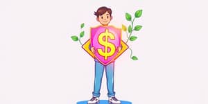 The Smart Dollar: Allocating Resources for Maximum Security